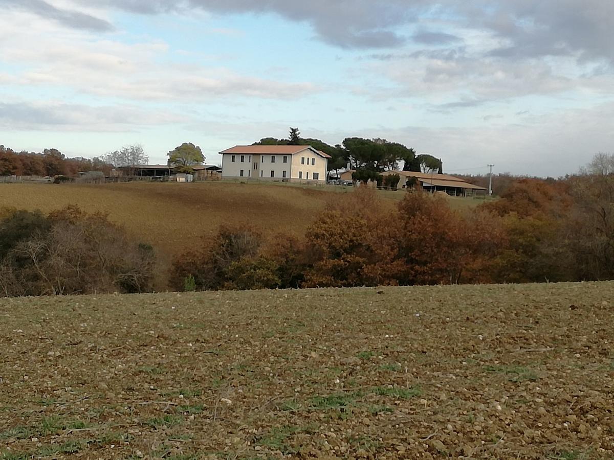 Biocampus La Roccaccia - Universita' Agraria Di Таркиния Екстериор снимка