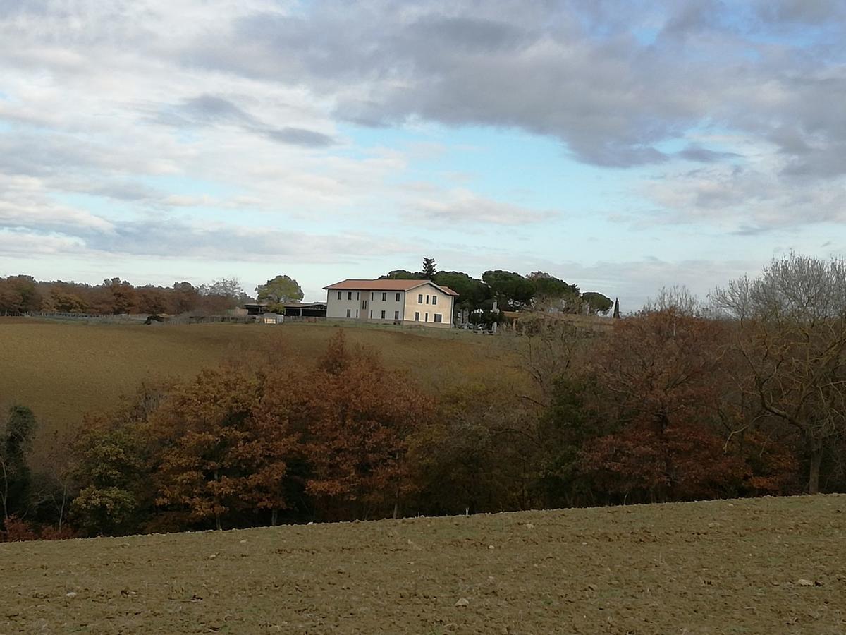 Biocampus La Roccaccia - Universita' Agraria Di Таркиния Екстериор снимка